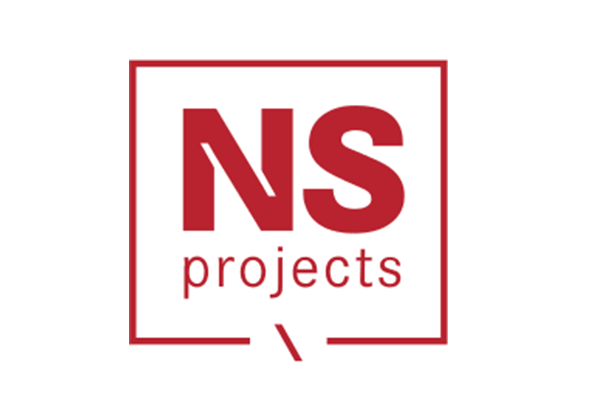NS-Projects logo
